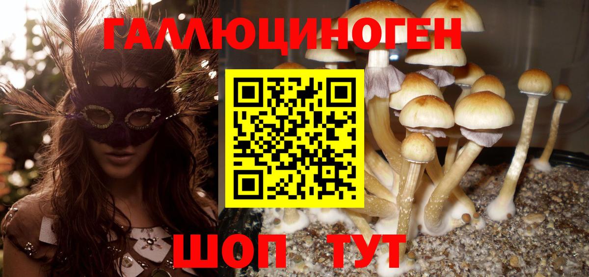 Лениногорск  Галлюциногенные грибы Psilocybe  Вход с VPN  Галлюциногенные грибы мухоморы 
