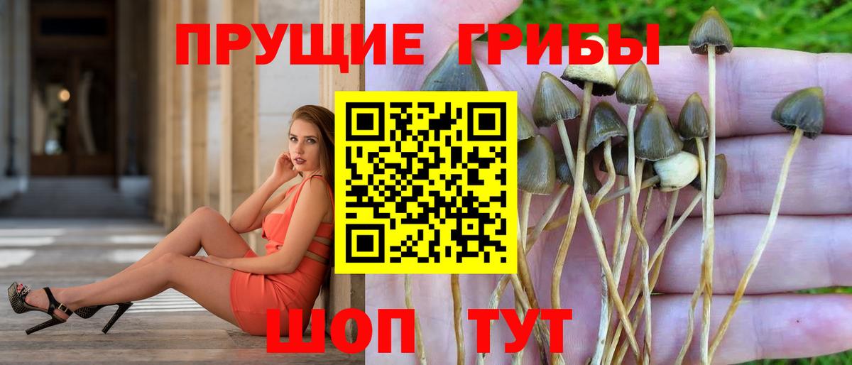 Галлюциногенные грибы Magic Shrooms Лениногорск
